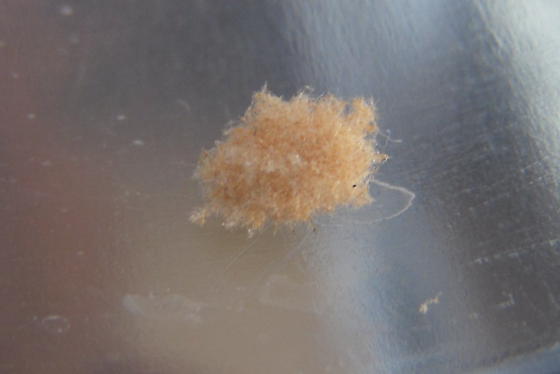 BZ4LWZ5L8ZWHAHGH1H7HBHXHCH5H2Z0LEZQL8ZLLOH0L2ZKLOHMHBHQL1HLL4ZZLNZWHZRNH3H7H8Z5HZRPH9Z9HRR