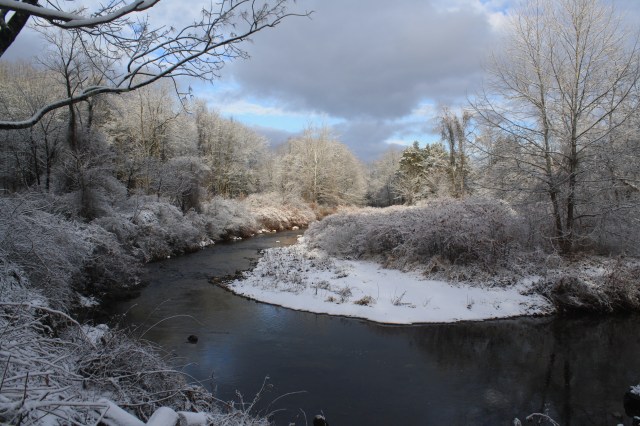 Winter Morning 