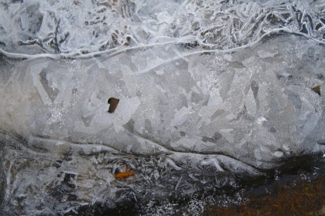 IMG_6715 - Version 2