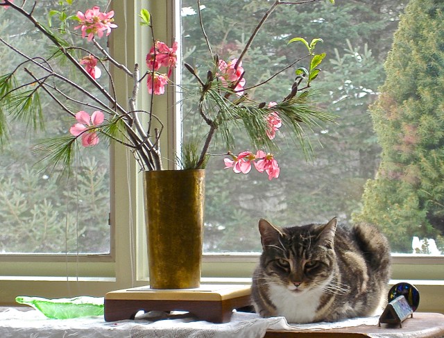 UN International Day of Happiness