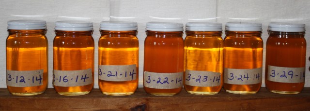 Each daily run is graded. 