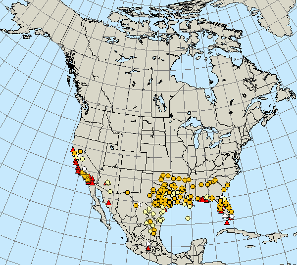 First Adult Monarch Spring 2014