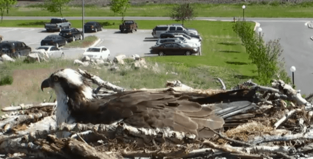 Screen Shot 2014-06-05 at 12.48.36 PM