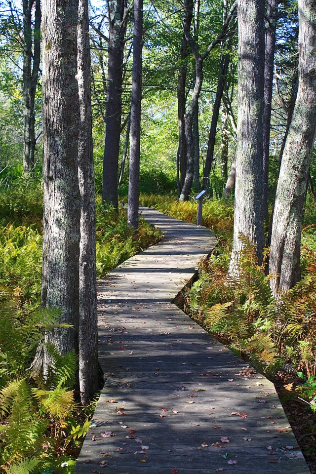 SistersRetreatSep11 (92)