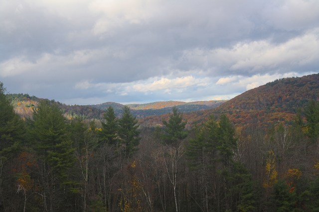 Fall - Bullitt Reservation