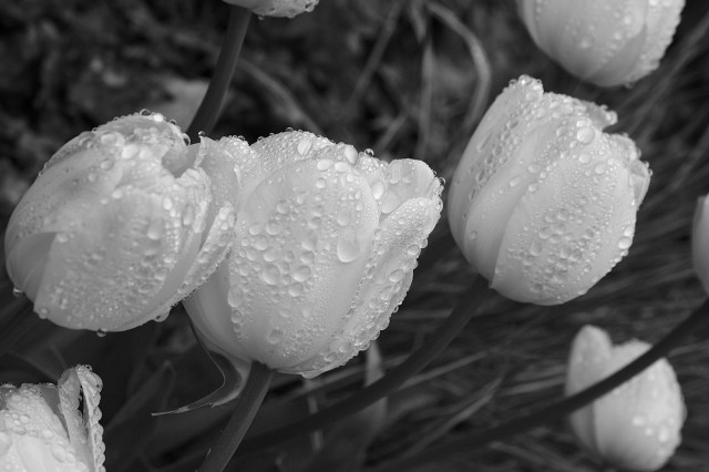 April12 374 - Version 2