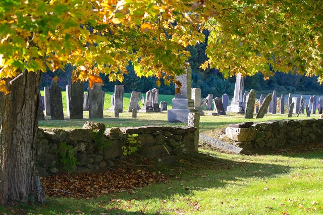 copyright Eliza Waters