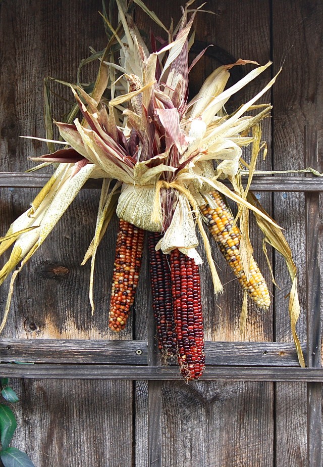 IMG_8883 - Version 2