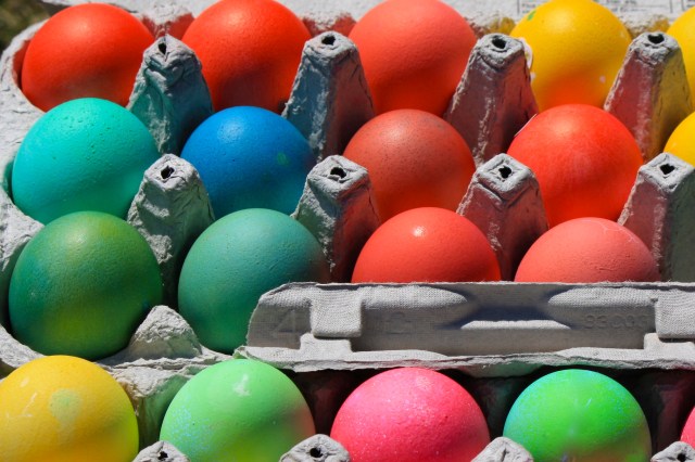 IMG_8892 - Version 2