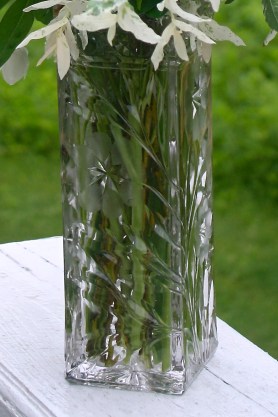 IMG_2713 - Version 2