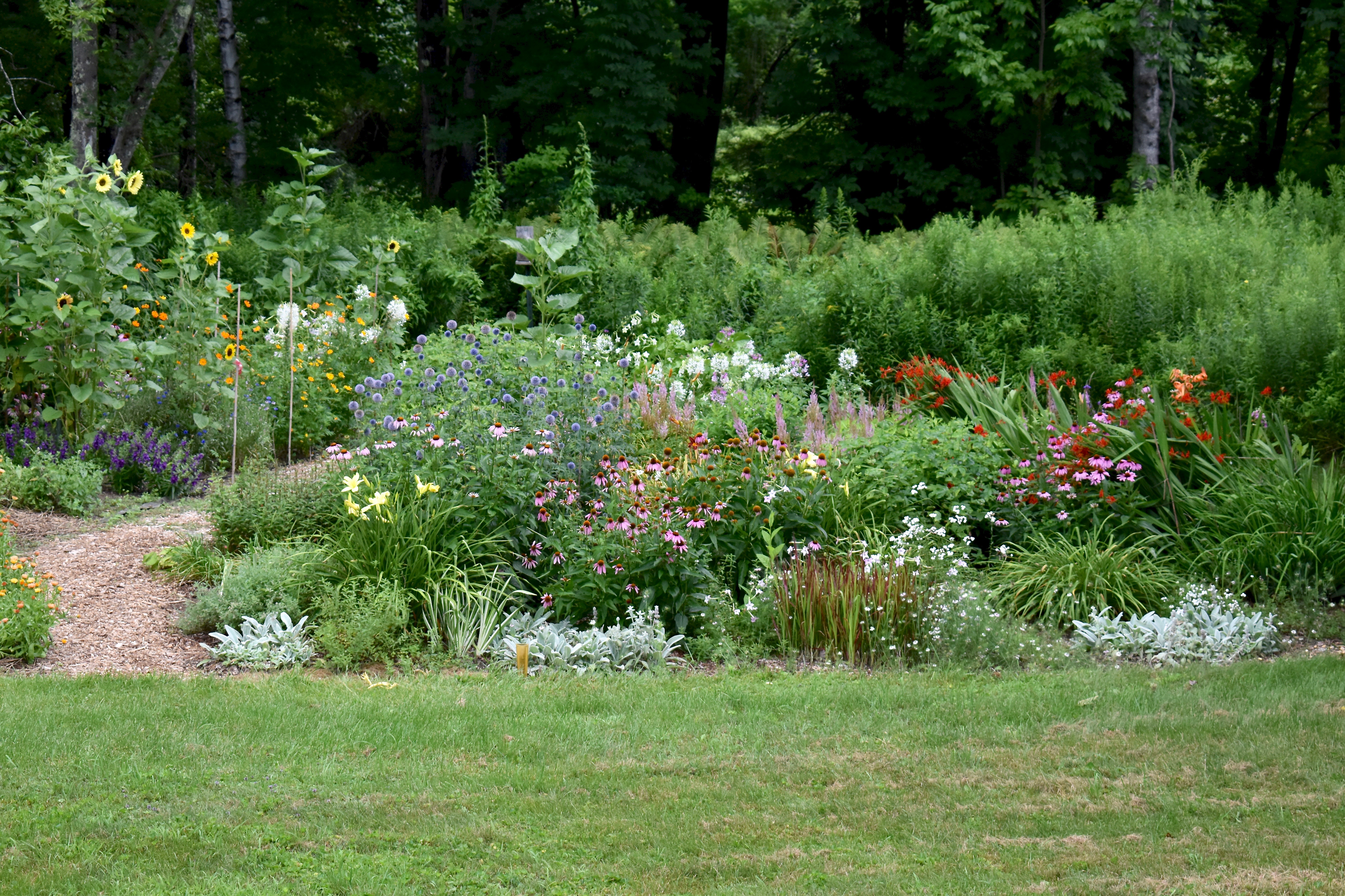 Perennial garden