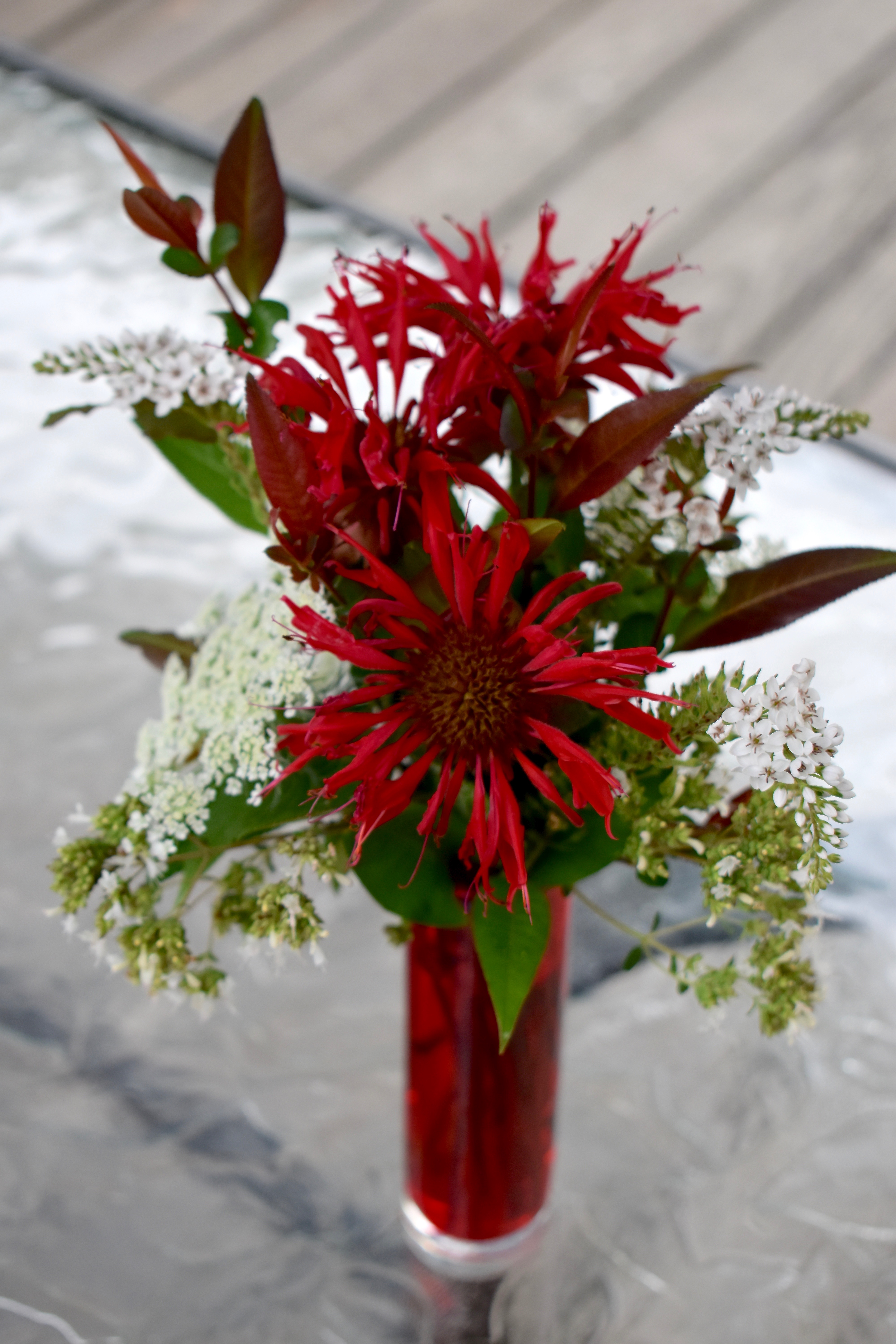 Monarda flower arrangement
