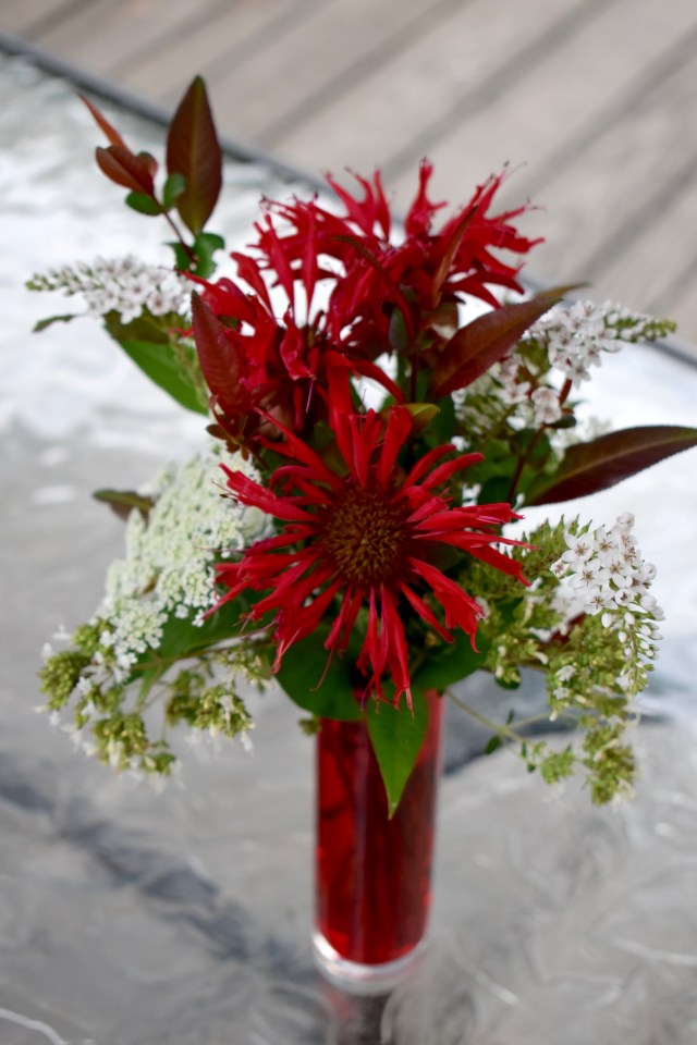 Monarda flower arrangement