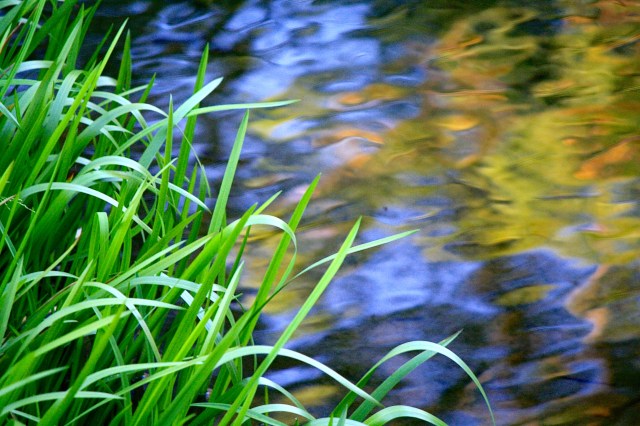 water reflections