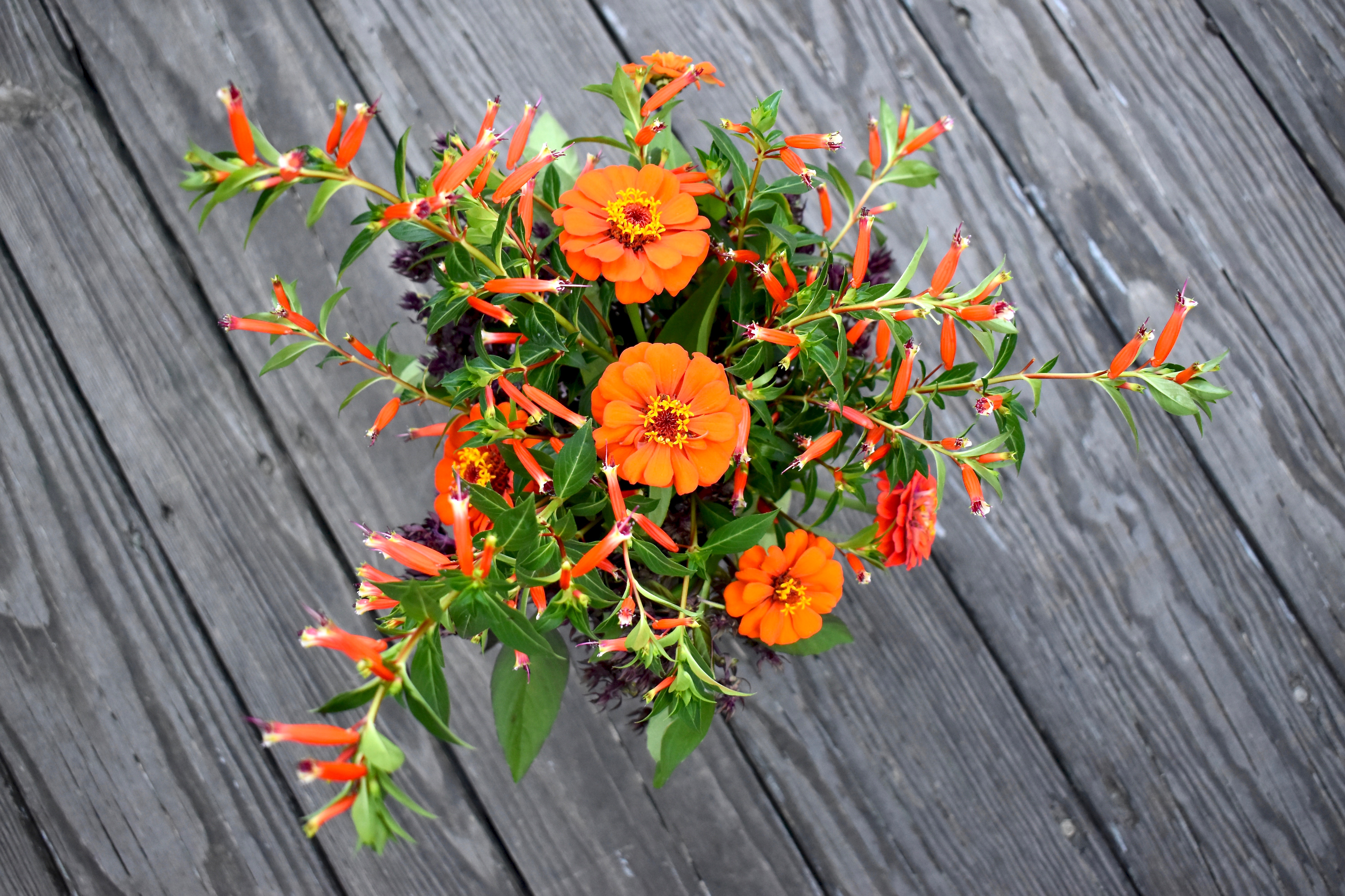 Top view, floral design